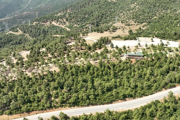 Bursa Gürsu'nun mesire alanı küllerden temizlendi