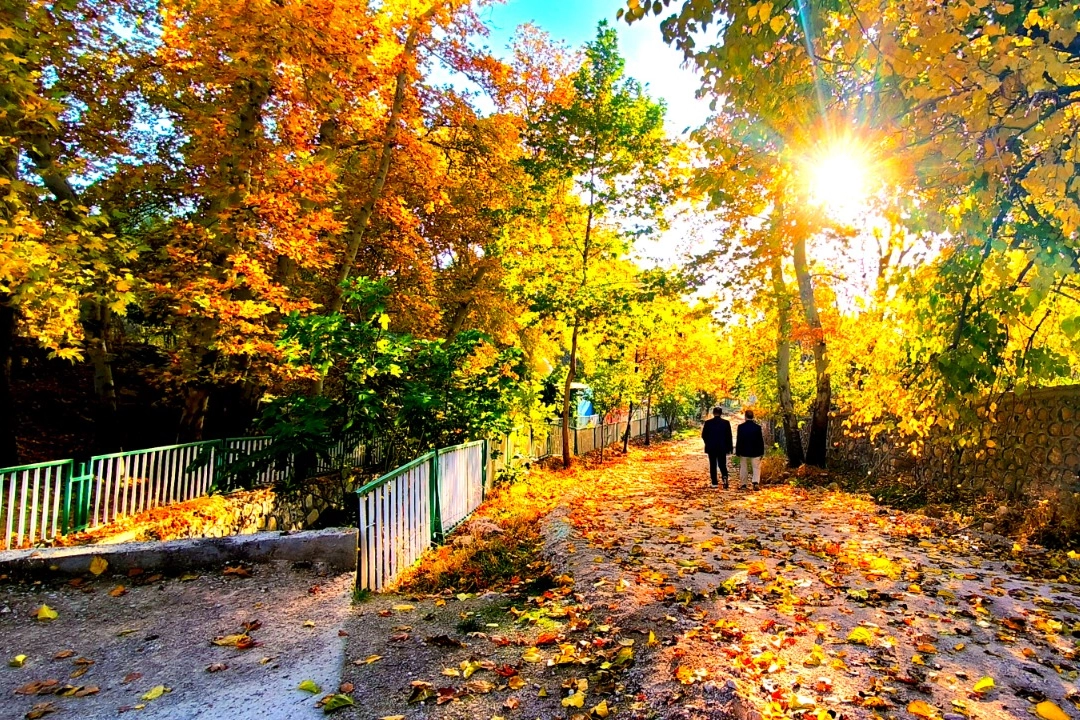 Mardin Yeşilli'de sonbahar büyüsü (Özel Haber)